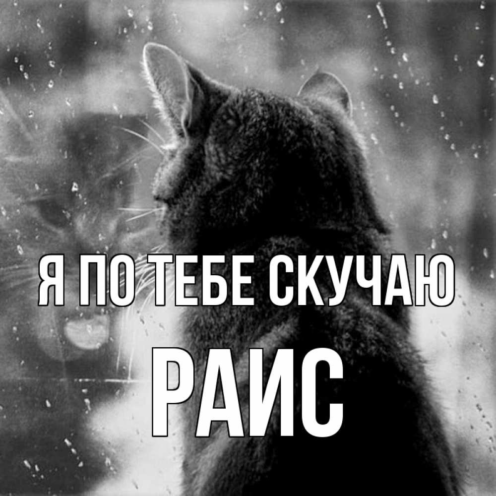 Открытка на каждый день с именем, Раис Я по тебе скучаю скорее ко мне приходи 1 Прикольная открытка с пожеланием онлайн скачать бесплатно 
