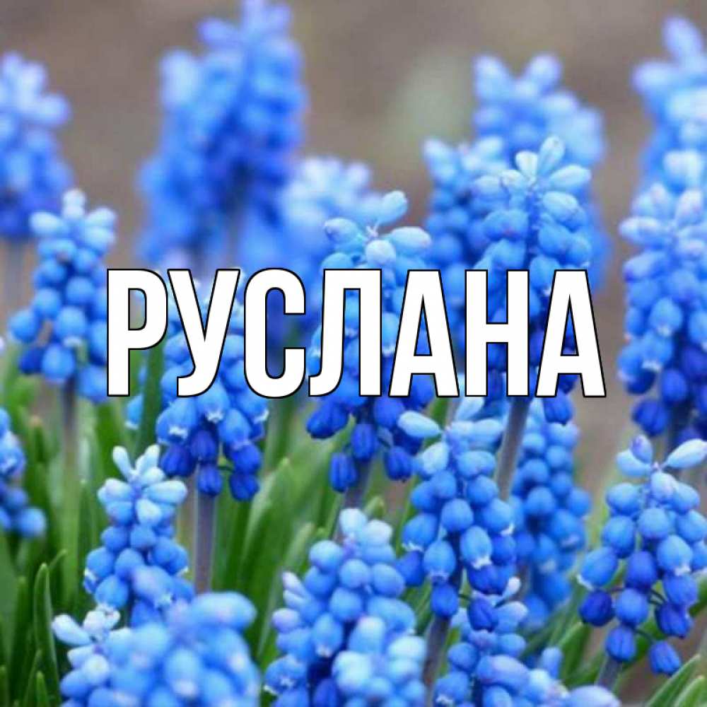 Открытка на каждый день с именем, Руслана Главная Поздравительная открытка для женщин с цветами на праздничную дату Прикольная открытка с пожеланием онлайн скачать бесплатно 