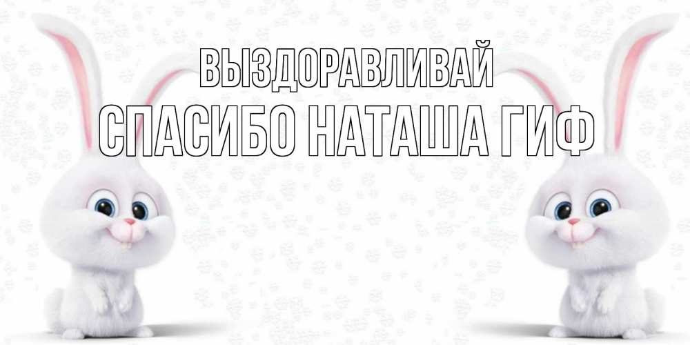 Открытка на каждый день с именем, СПАСИБО-НАТАША-ГИФ Выздоравливай не болей с зайцем Прикольная открытка с пожеланием онлайн скачать бесплатно 