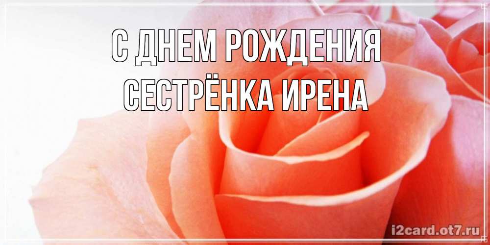 Открытка на каждый день с именем, Сестрёнка-Ирена С днем рождения розы для поздравления с днем рождения Прикольная открытка с пожеланием онлайн скачать бесплатно 