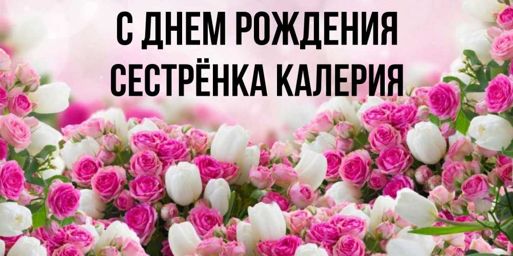 Открытка на каждый день с именем, Сестрёнка-Калерия С днем рождения открытка с разными розами Прикольная открытка с пожеланием онлайн скачать бесплатно 