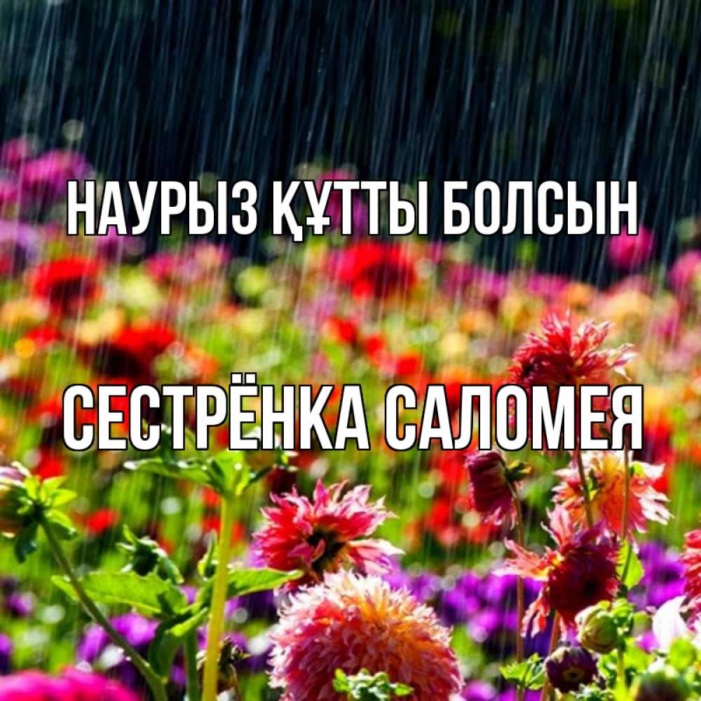 Открытка на каждый день с именем, Сестрёнка-Саломея Наурыз құтты болсын цветы под дождиком к наурызу Прикольная открытка с пожеланием онлайн скачать бесплатно 