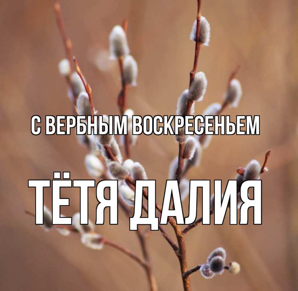 Открытка на каждый день с именем, Тётя-Далия С вербным воскресеньем верба Прикольная открытка с пожеланием онлайн скачать бесплатно 