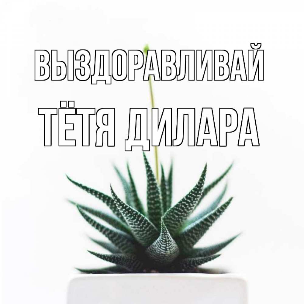 Открытка на каждый день с именем, Тётя-Дилара Выздоравливай короче это непонятная колючка Прикольная открытка с пожеланием онлайн скачать бесплатно 