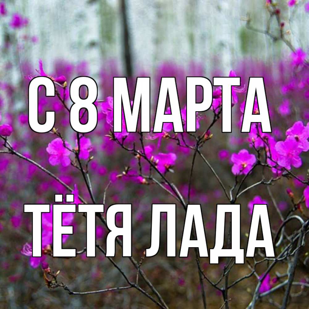 Открытка на каждый день с именем, Тётя-Лада С 8 МАРТА дикие цветы Прикольная открытка с пожеланием онлайн скачать бесплатно 