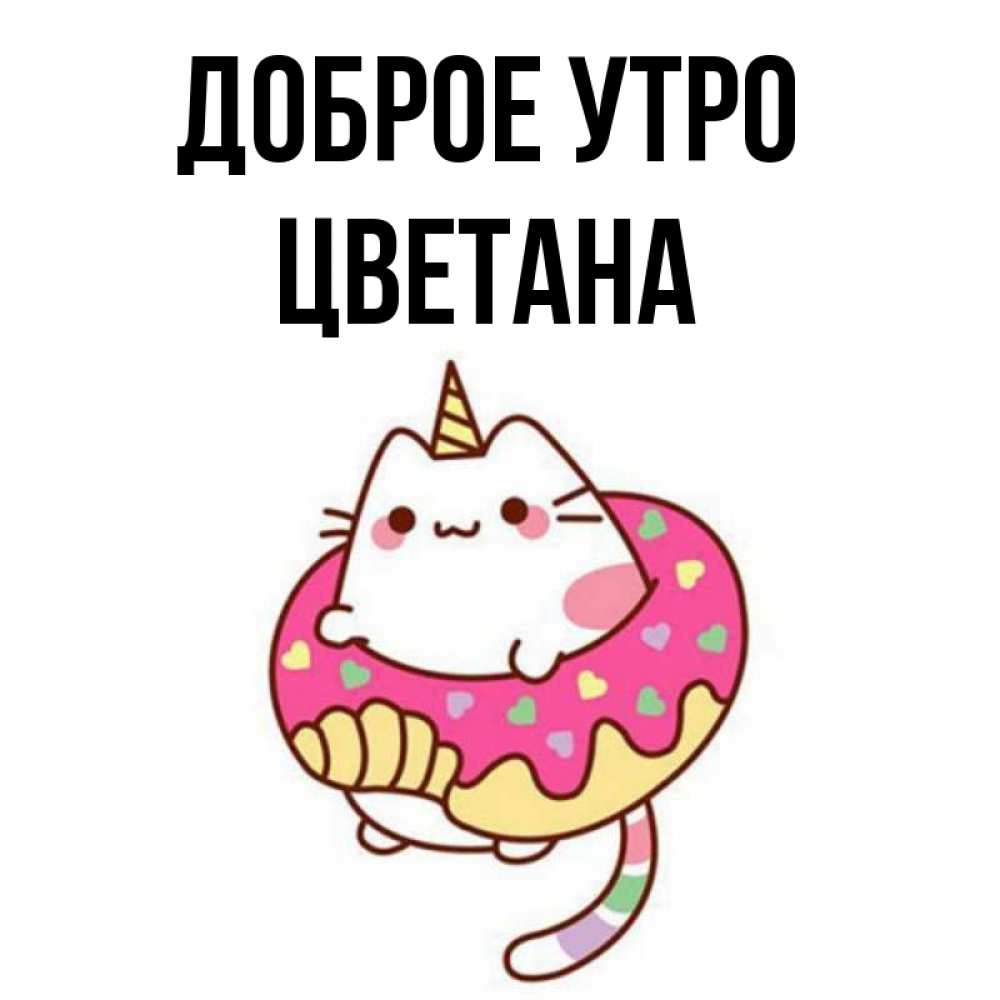 Открытка на каждый день с именем, Цветана Доброе утро кот в бублике Прикольная открытка с пожеланием онлайн скачать бесплатно 