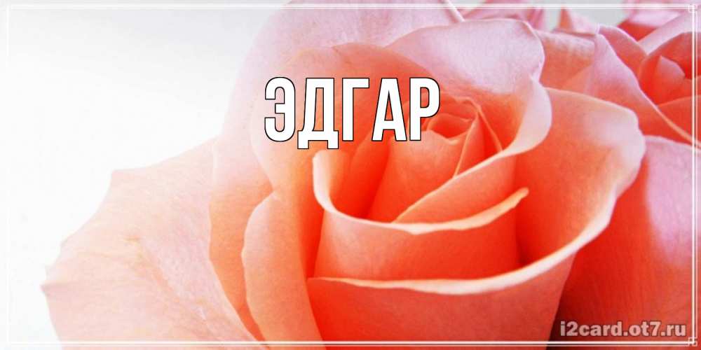 Открытка на каждый день с именем, Эдгар Главная открытка на день Святого Валентина с розовой розой Прикольная открытка с пожеланием онлайн скачать бесплатно 