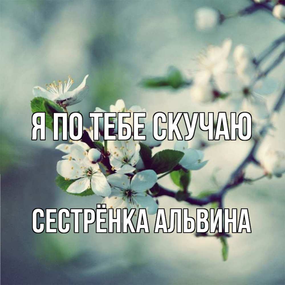 Открытка на каждый день с именем, Сестрёнка-Альвина Я по тебе скучаю весна Прикольная открытка с пожеланием онлайн скачать бесплатно 