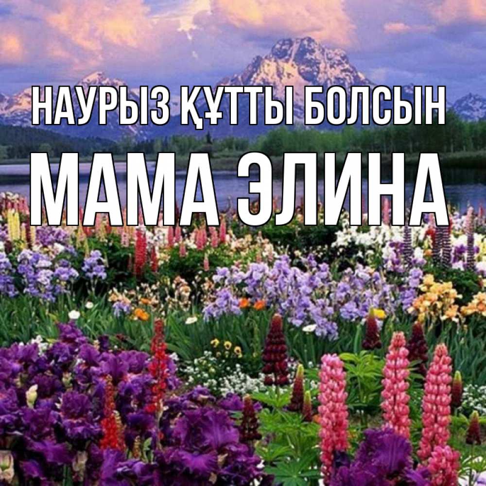 Открытка на каждый день с именем, Мама-Элина Наурыз құтты болсын наурыз Прикольная открытка с пожеланием онлайн скачать бесплатно 