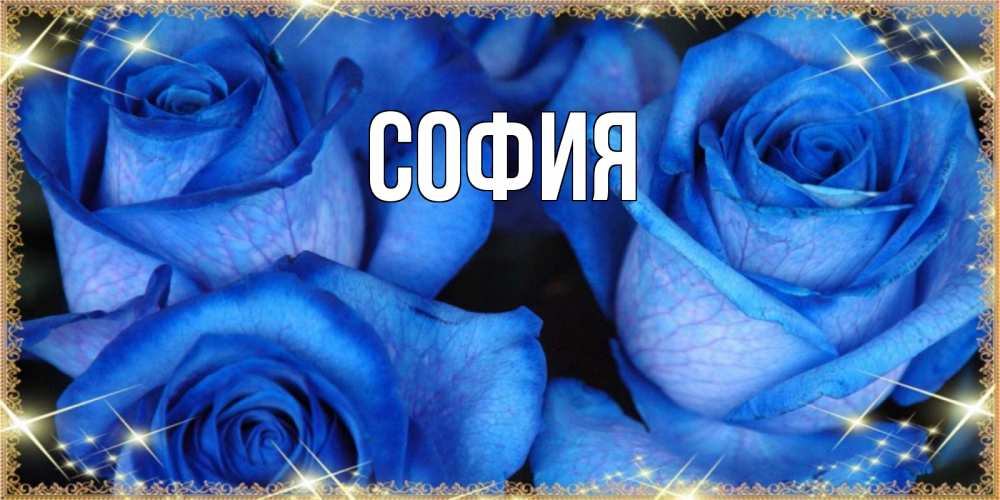 Открытка на каждый день с именем, София Главная красивые розы для милых дам на международный женский день Прикольная открытка с пожеланием онлайн скачать бесплатно 