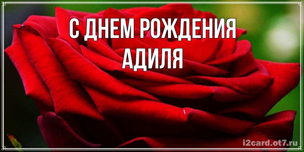 Открытка на каждый день с именем, Адиля С днем рождения розочка очень красивая Прикольная открытка с пожеланием онлайн скачать бесплатно 