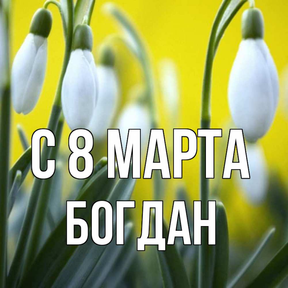 Открытка на каждый день с именем, Богдан С 8 МАРТА весенние цветы Прикольная открытка с пожеланием онлайн скачать бесплатно 