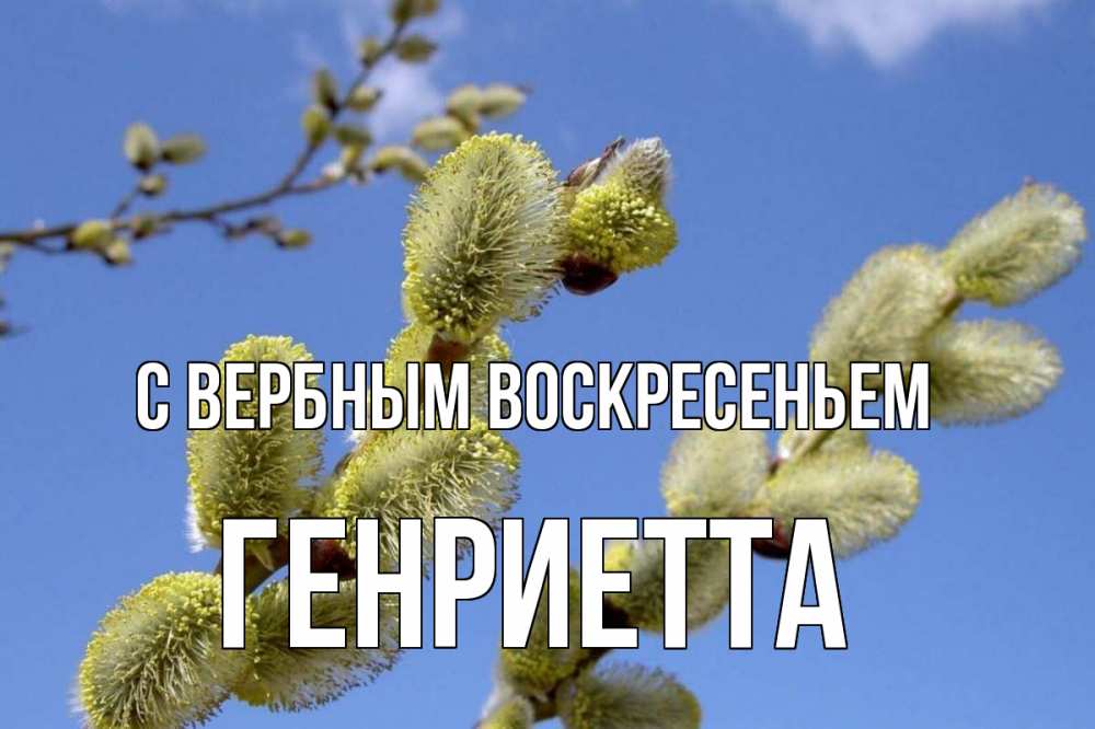 Открытка на каждый день с именем, Генриетта С вербным воскресеньем верба Прикольная открытка с пожеланием онлайн скачать бесплатно 