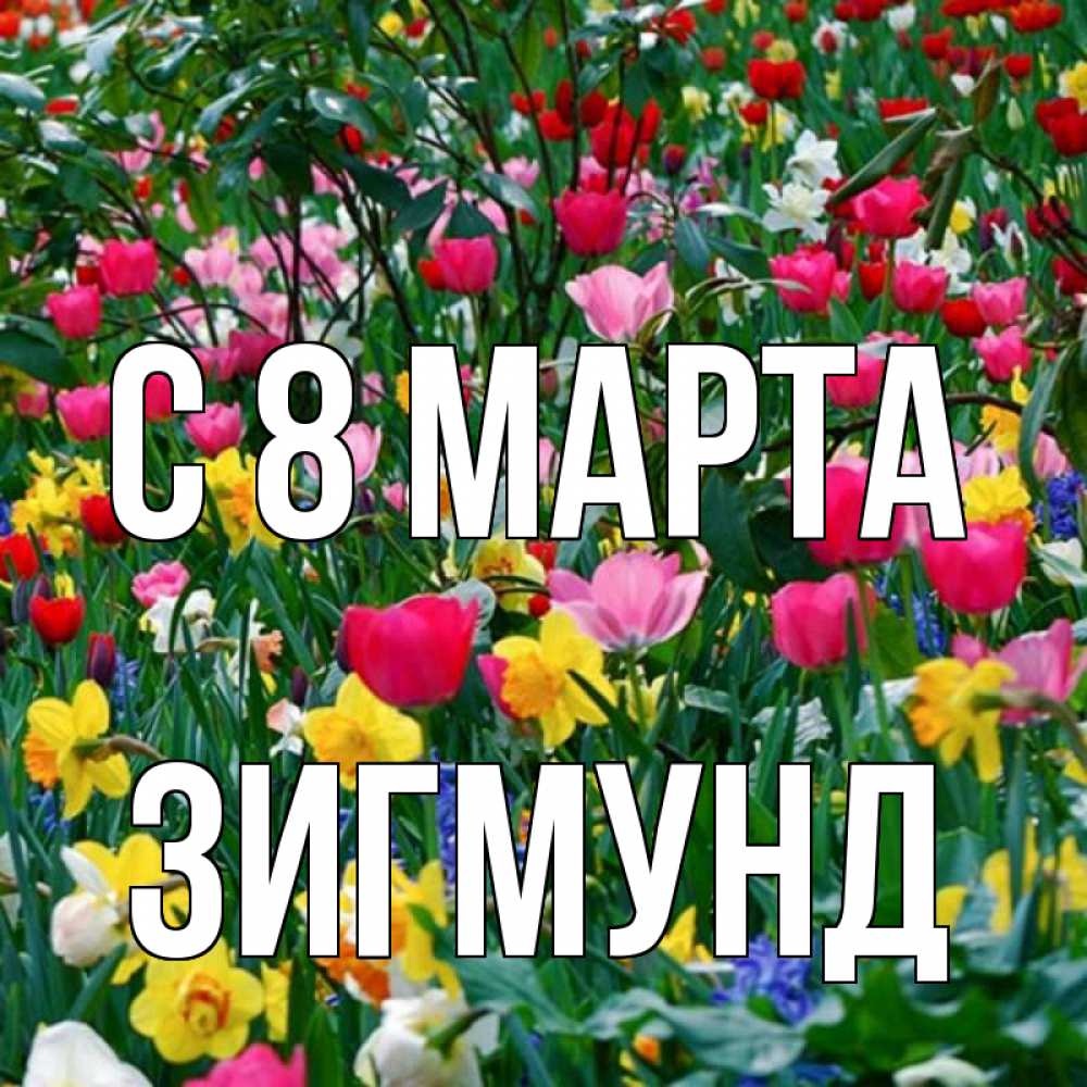 Открытка на каждый день с именем, Зигмунд С 8 МАРТА с международным женским днем поздравления для женщины Прикольная открытка с пожеланием онлайн скачать бесплатно 