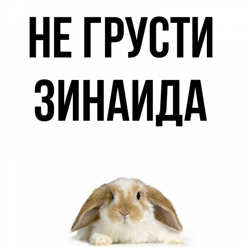 Открытка на каждый день с именем, Зинаида Не грусти коричнево белый заяц с большими ушками Прикольная открытка с пожеланием онлайн скачать бесплатно 