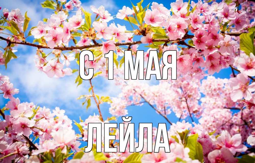 Открытка на каждый день с именем, Лейла С 1 мая С 1 мая Прикольная открытка с пожеланием онлайн скачать бесплатно 