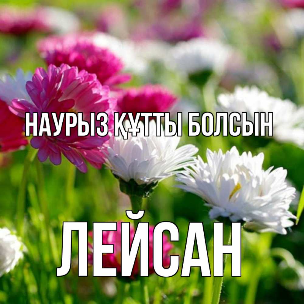 Открытка на каждый день с именем, Лейсан Наурыз құтты болсын наурыз Прикольная открытка с пожеланием онлайн скачать бесплатно 