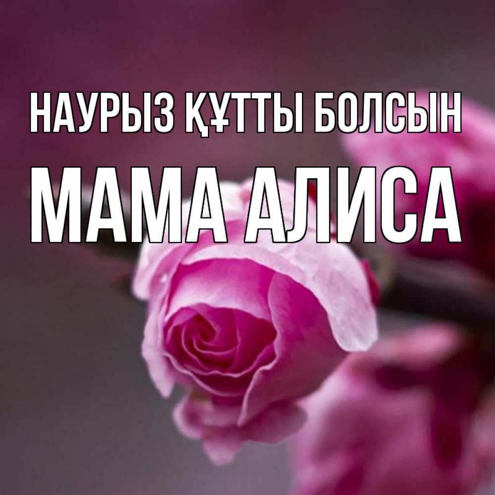 Открытка на каждый день с именем, Мама-Алиса Наурыз құтты болсын весна Прикольная открытка с пожеланием онлайн скачать бесплатно 