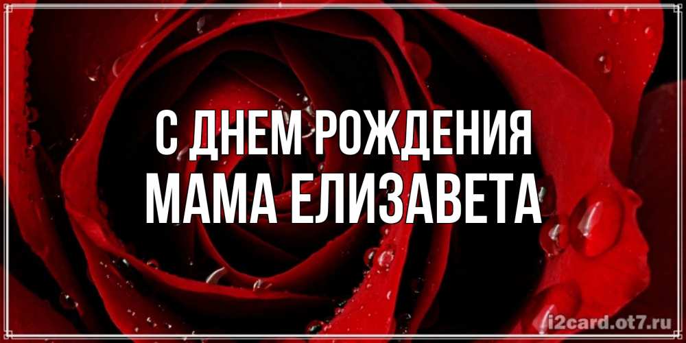 Открытка на каждый день с именем, Мама-Елизавета С днем рождения крупная бордовая роза Прикольная открытка с пожеланием онлайн скачать бесплатно 