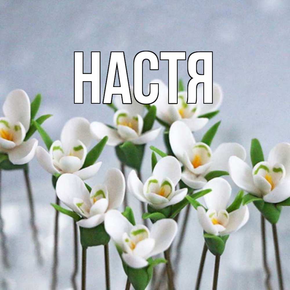 Открытка на каждый день с именем, Настя Главная весенние цветы Прикольная открытка с пожеланием онлайн скачать бесплатно 