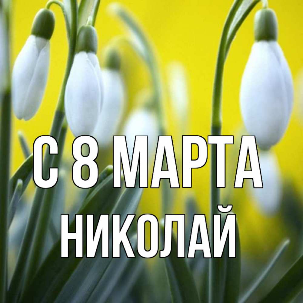Открытка на каждый день с именем, Николай С 8 марта весенние цветы Прикольная открытка с пожеланием онлайн скачать бесплатно 