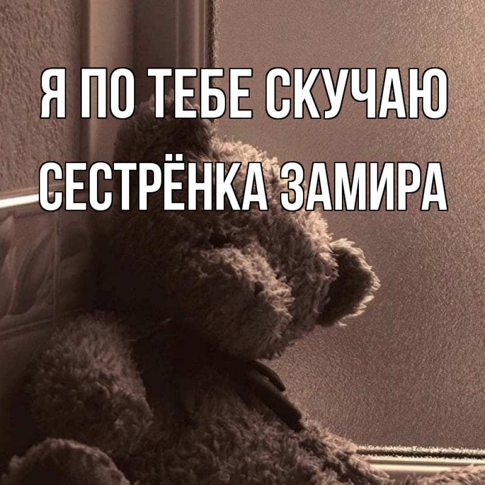Открытка на каждый день с именем, Сестрёнка-Замира Я по тебе скучаю скучаем тут Прикольная открытка с пожеланием онлайн скачать бесплатно 
