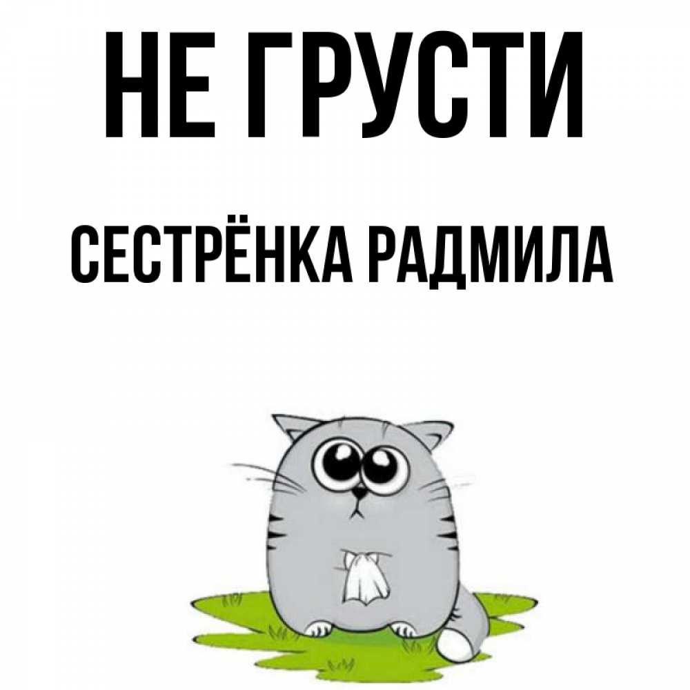 Открытка на каждый день с именем, Сестрёнка-Радмила Не грусти грустный котяра Прикольная открытка с пожеланием онлайн скачать бесплатно 