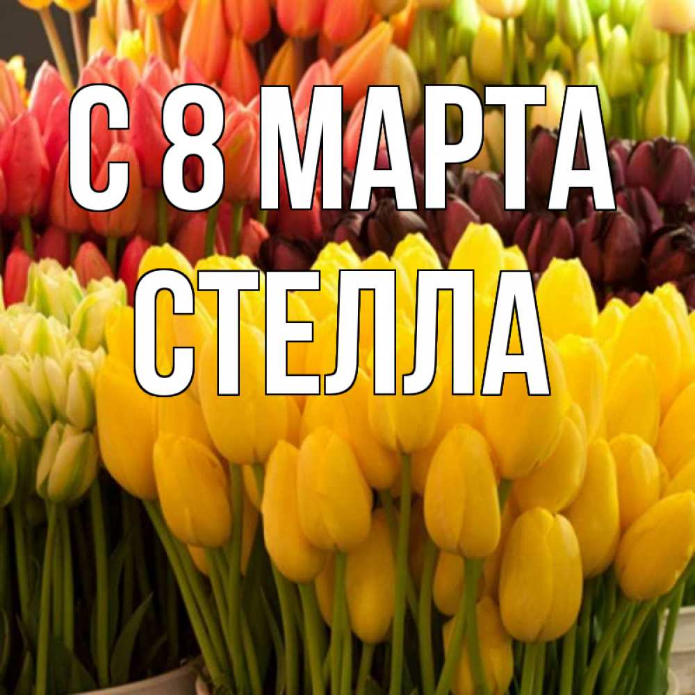 Открытка на каждый день с именем, Стелла С 8 МАРТА цветы Прикольная открытка с пожеланием онлайн скачать бесплатно 