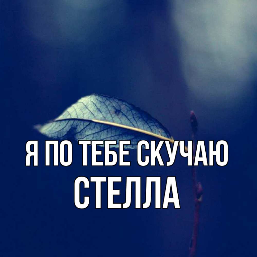 Открытка на каждый день с именем, Стелла Я по тебе скучаю одна ветка 1 Прикольная открытка с пожеланием онлайн скачать бесплатно 