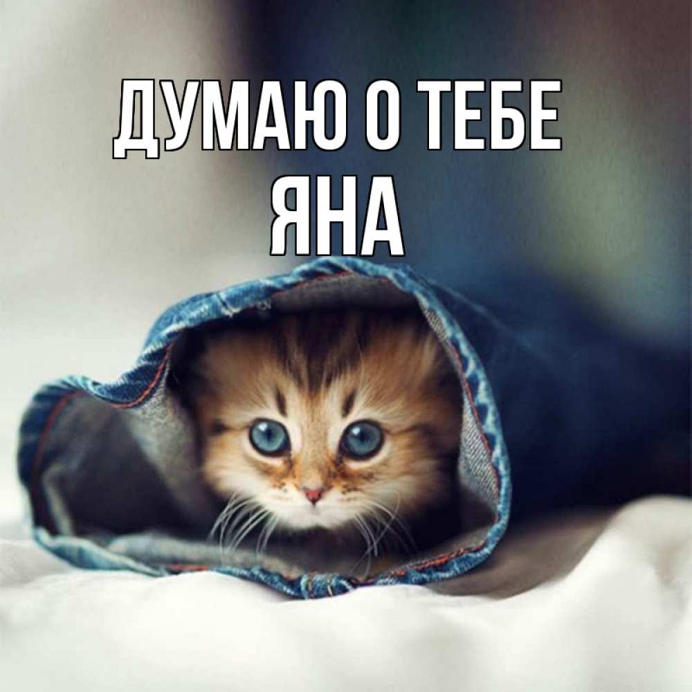 Открытка на каждый день с именем, Яна Думаю о тебе мне без тебя плохо Прикольная открытка с пожеланием онлайн скачать бесплатно 