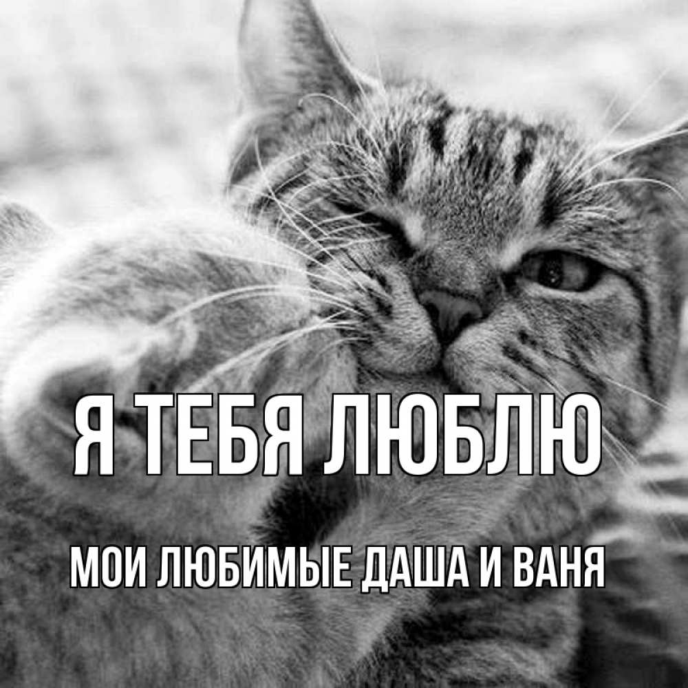 Картинка Я тебя люблю, Мои любимые Даша и Ваня