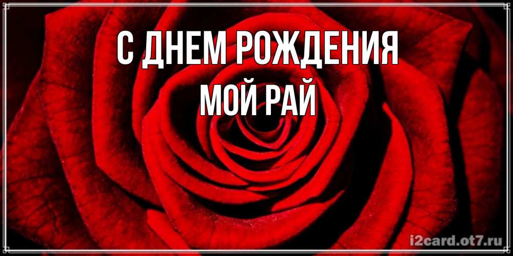 Открытка на каждый день с именем, Мой-рай С днем рождения алая роза Прикольная открытка с пожеланием онлайн скачать бесплатно 