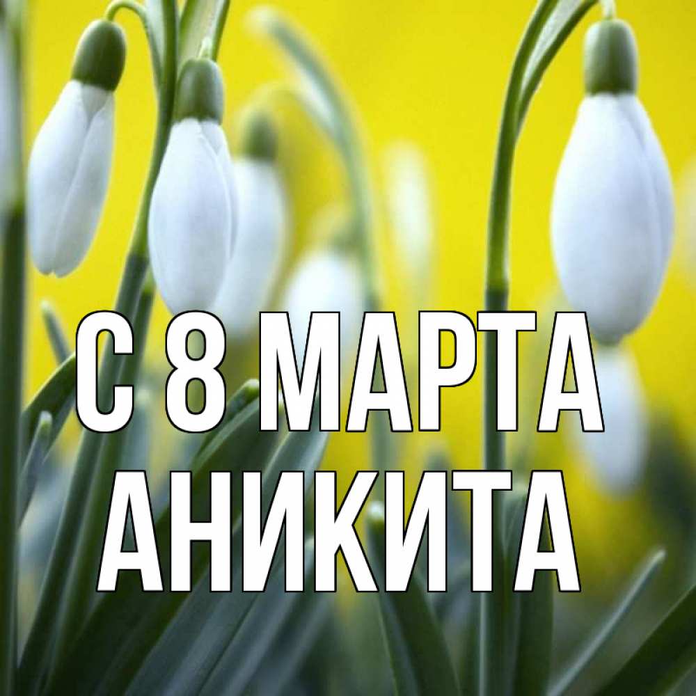 Открытка на каждый день с именем, Аникита С 8 марта весенние цветы Прикольная открытка с пожеланием онлайн скачать бесплатно 
