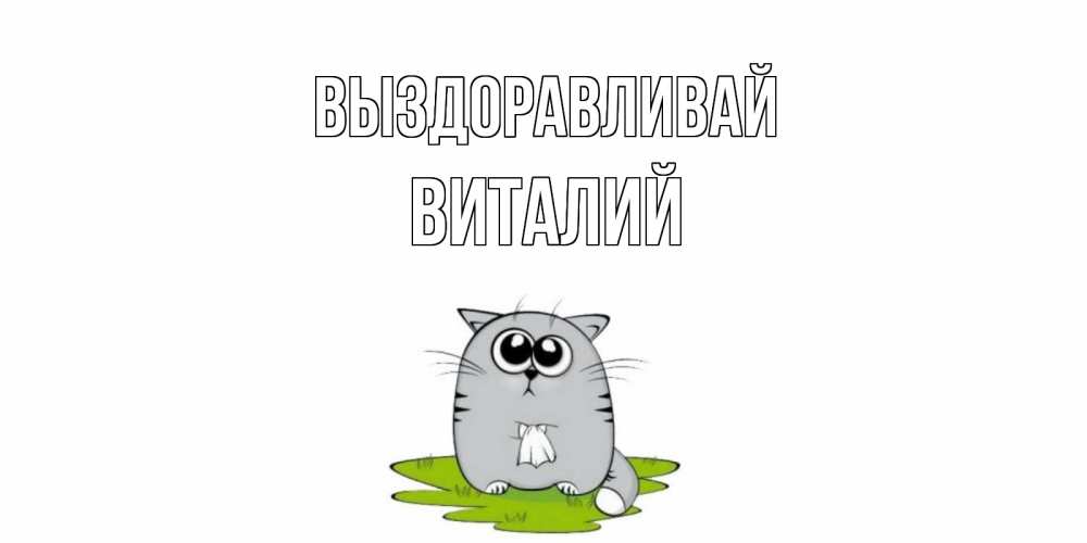 Открытка на каждый день с именем, Виталий Выздоравливай кот и открытки про выздоровление Прикольная открытка с пожеланием онлайн скачать бесплатно 