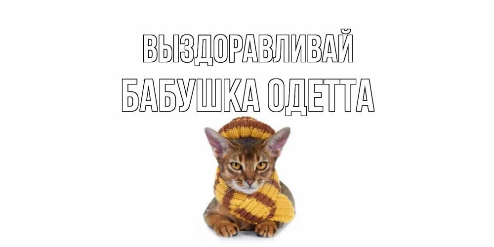 Открытка на каждый день с именем, Бабушка-Одетта Выздоравливай родные не болейте Прикольная открытка с пожеланием онлайн скачать бесплатно 