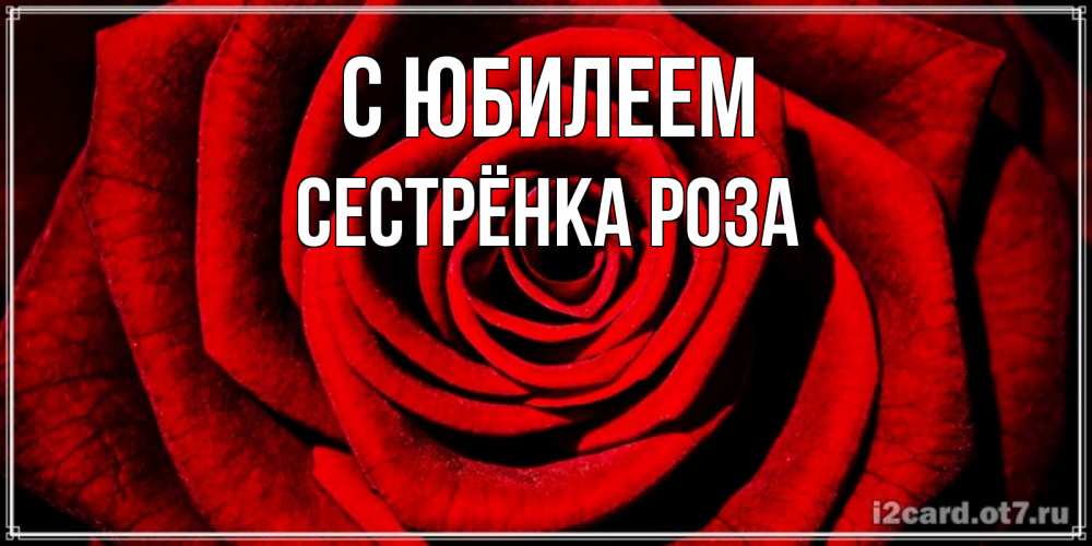 Открытка на каждый день с именем, Сестрёнка-Роза С юбилеем алая роза Прикольная открытка с пожеланием онлайн скачать бесплатно 