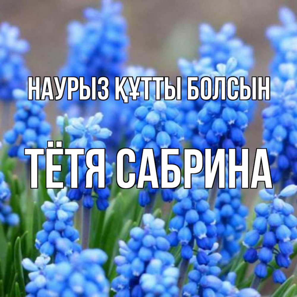 Открытка на каждый день с именем, Тётя-Сабрина Наурыз құтты болсын Поздравительная открытка для женщин с цветами на праздничную дату Прикольная открытка с пожеланием онлайн скачать бесплатно 