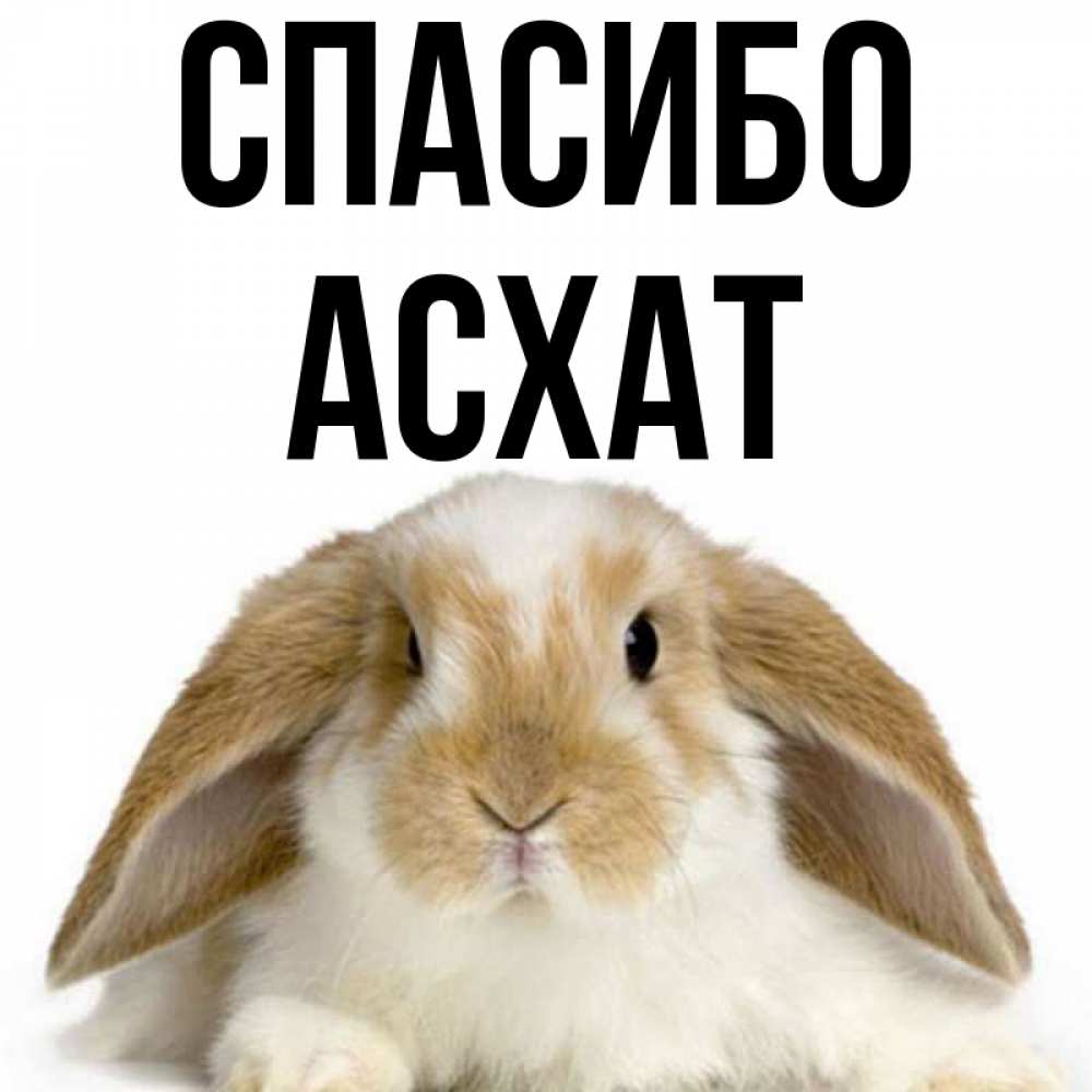 Значение имени асхат. Значение имени асхат. Асхат с днем рождения открытки. Имя асхат. Имя асхат.