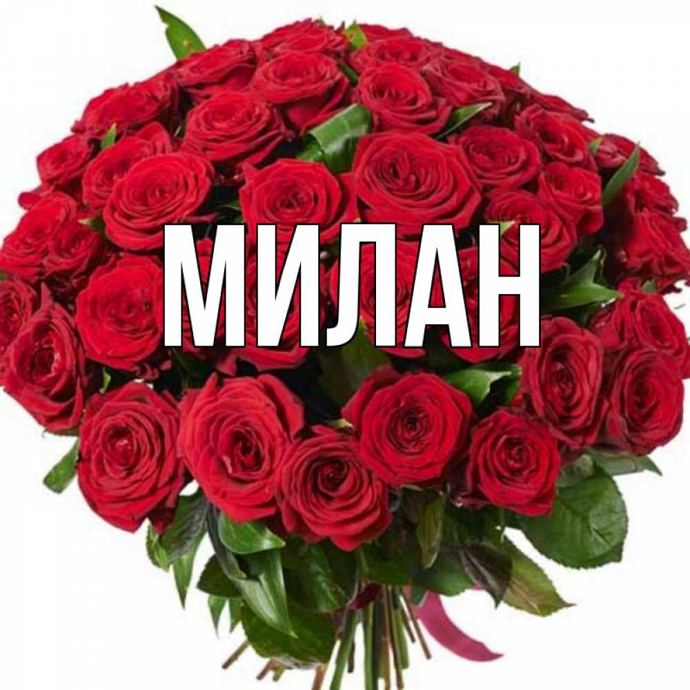 Милан цветы