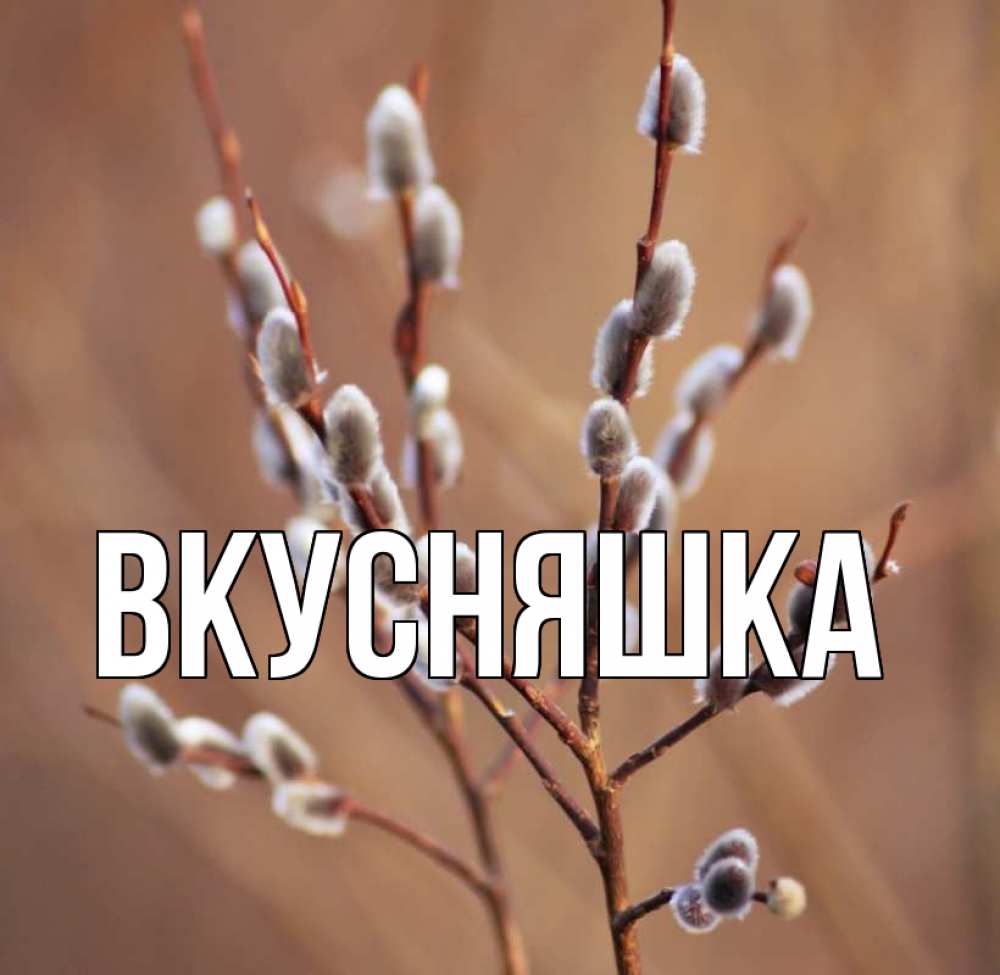 Открытка на каждый день с именем, Вкусняшка Главная верба Прикольная открытка с пожеланием онлайн скачать бесплатно 