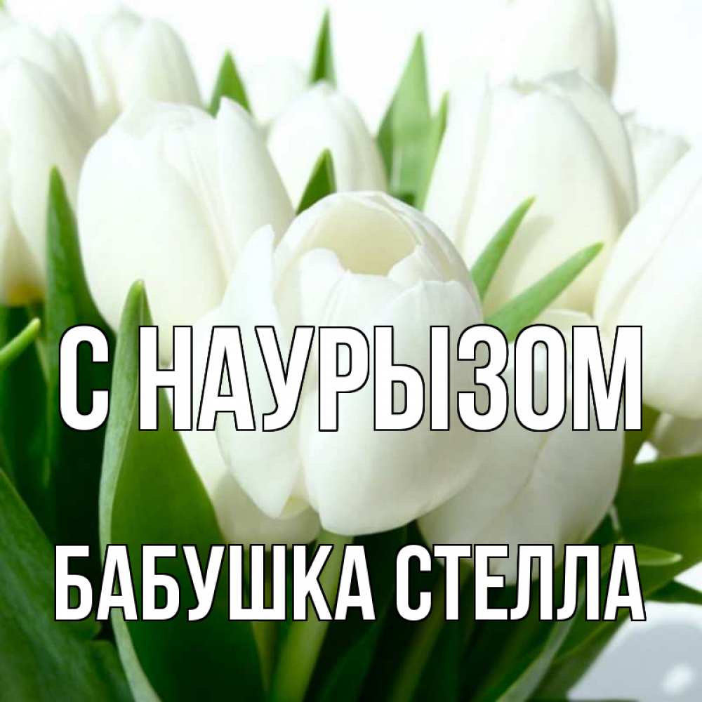 Открытка на каждый день с именем, Бабушка-Стелла С наурызом цветы Прикольная открытка с пожеланием онлайн скачать бесплатно 