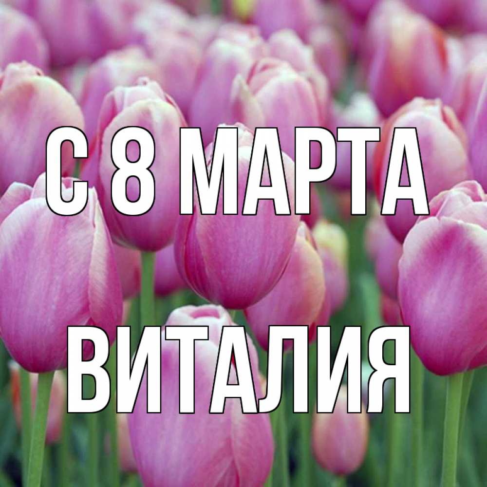 Открытка на каждый день с именем, Виталия С 8 марта на международный женский день 3 Прикольная открытка с пожеланием онлайн скачать бесплатно 