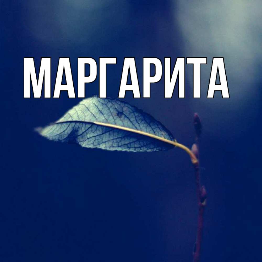 Картинки С Именем Маргарита