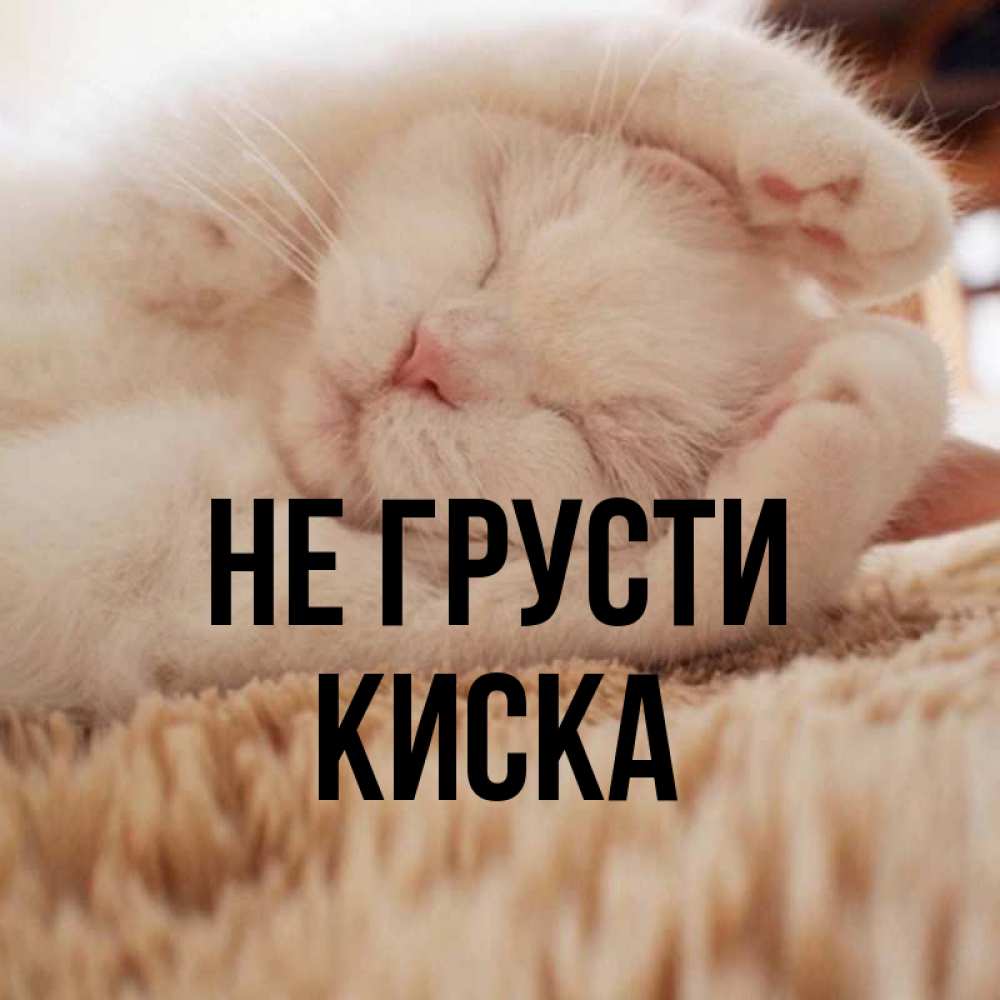 Картинки не грусти зайчик