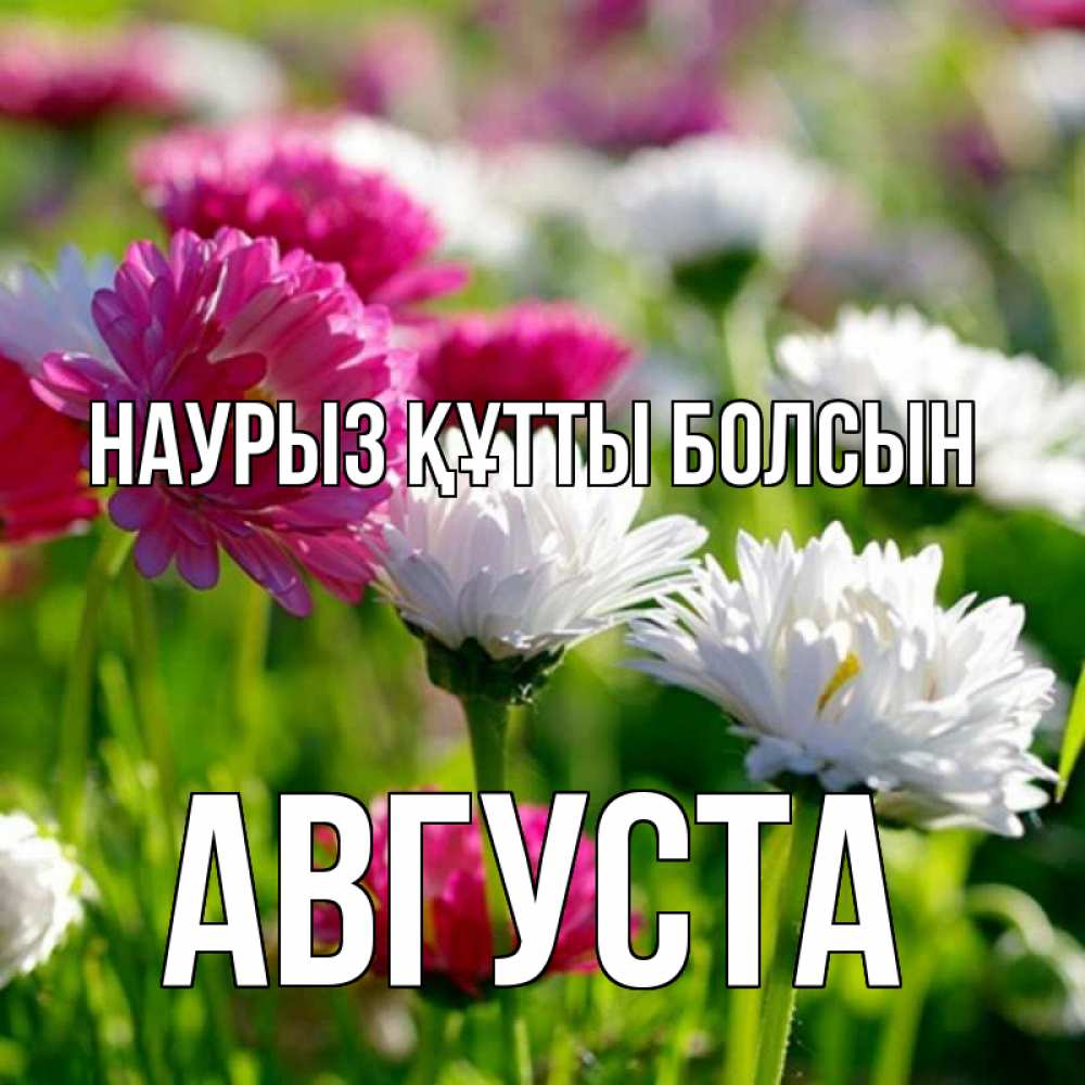 Открытка на каждый день с именем, Августа Наурыз құтты болсын наурыз Прикольная открытка с пожеланием онлайн скачать бесплатно 