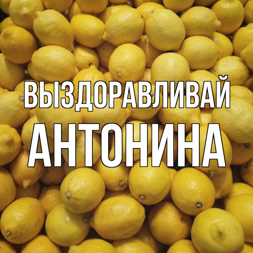 Открытка на каждый день с именем, Антонина Выздоравливай это точно поможет Прикольная открытка с пожеланием онлайн скачать бесплатно 