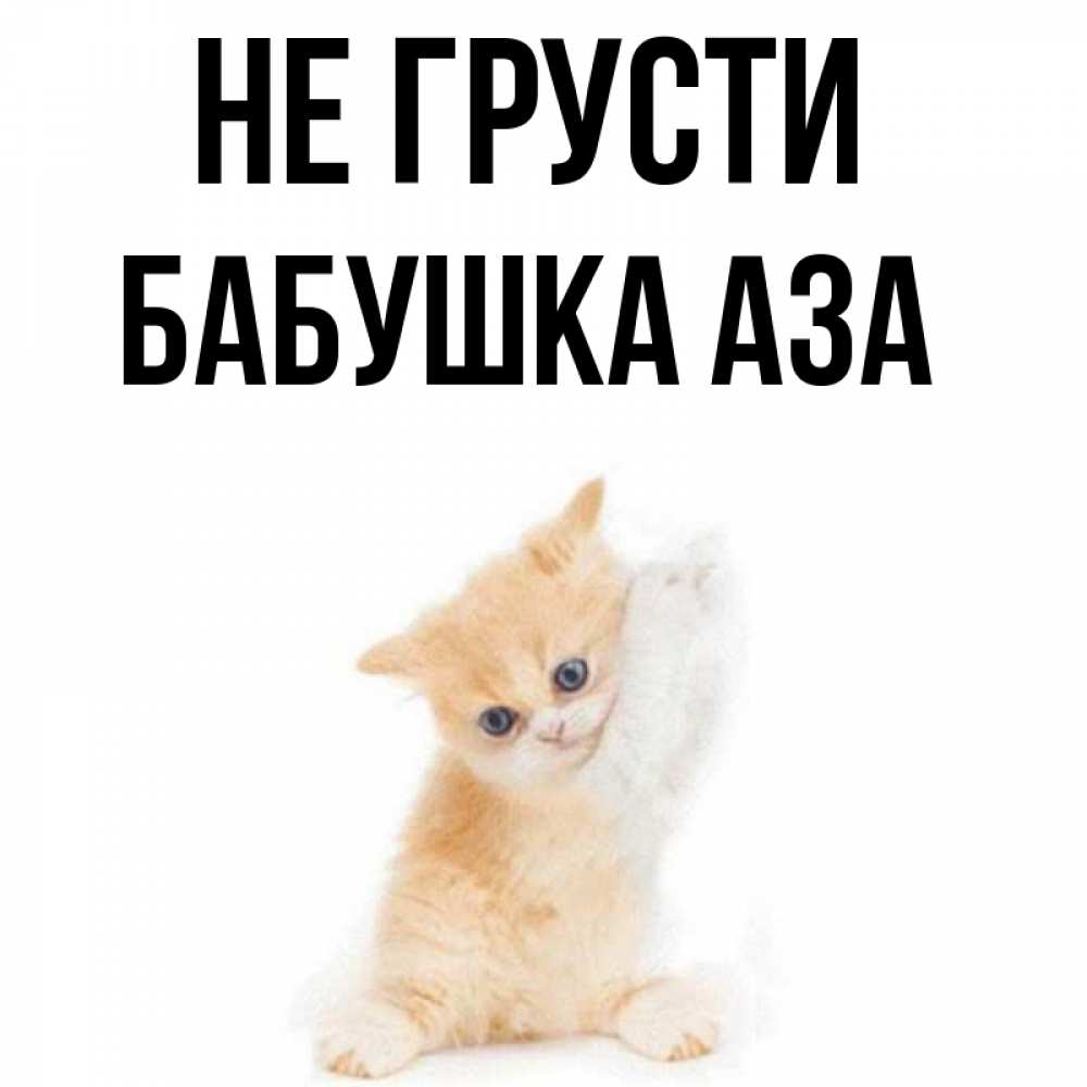Открытка на каждый день с именем, Бабушка-Аза Не грусти просящий кот Прикольная открытка с пожеланием онлайн скачать бесплатно 