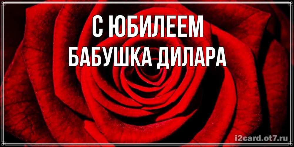Открытка на каждый день с именем, Бабушка-Дилара С юбилеем алая роза Прикольная открытка с пожеланием онлайн скачать бесплатно 