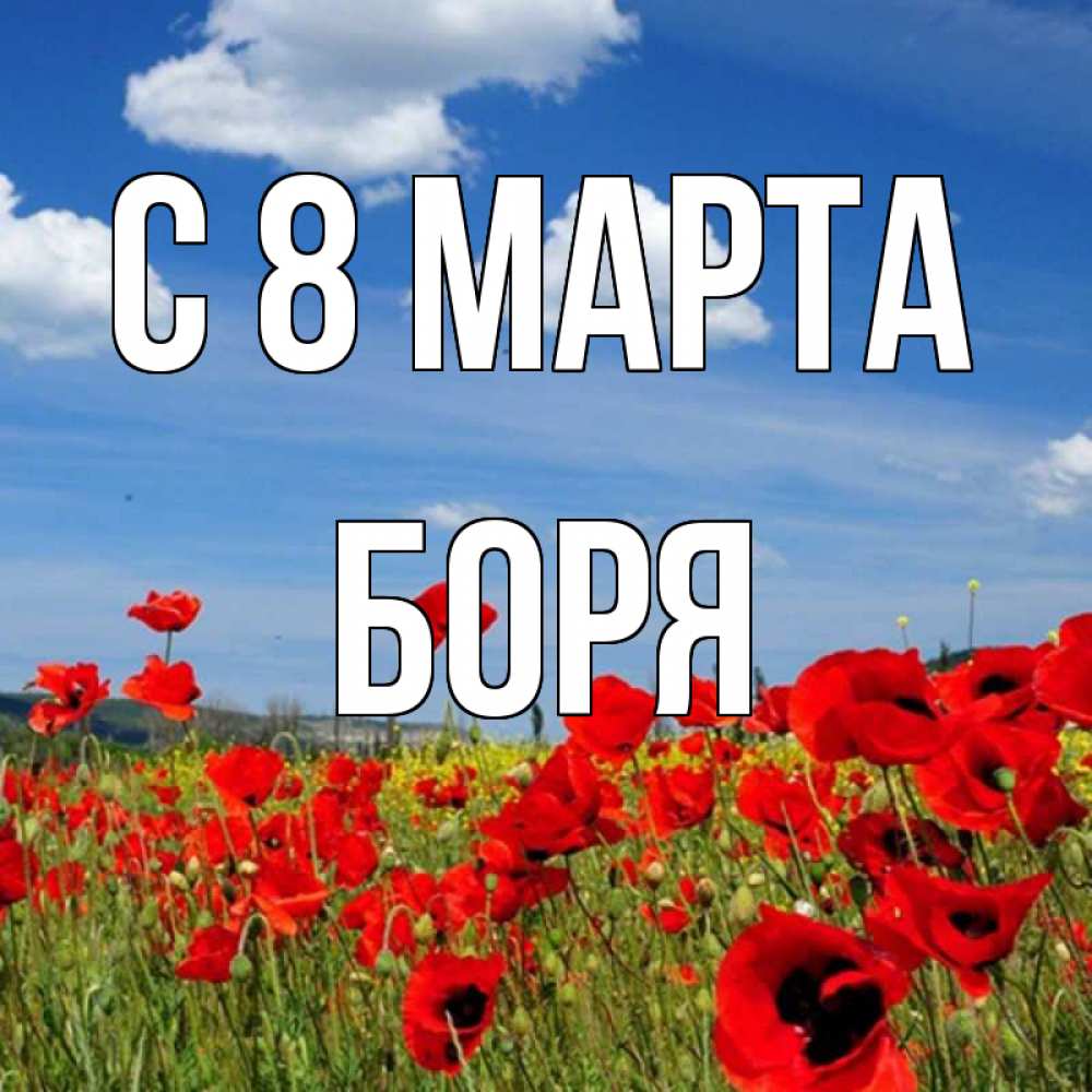 Открытка на каждый день с именем, Боря С 8 МАРТА международный женский день 1 Прикольная открытка с пожеланием онлайн скачать бесплатно 