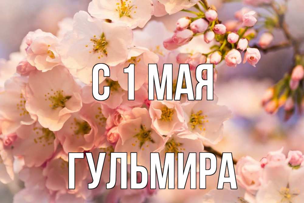Открытка на каждый день с именем, Гульмира С 1 мая С 1 мая Прикольная открытка с пожеланием онлайн скачать бесплатно 